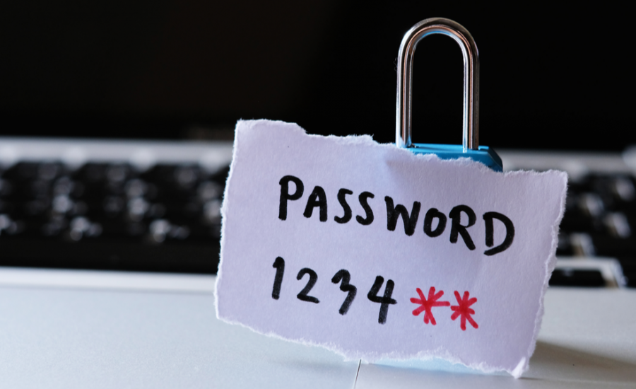 what is a password manager